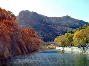 新澳天天开奖资料大全旅游团，华夏黑客联盟论坛